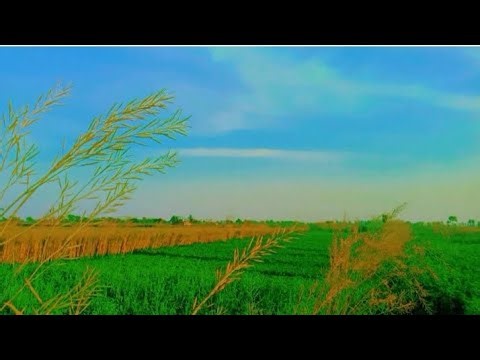 Relaxing Clouds Scenery ☁️ | Peaceful Sky View & Nature Beauty