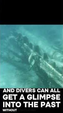 Hidden beneath the clear waters of Lake Huron lies the Joyland Shipwreck.
