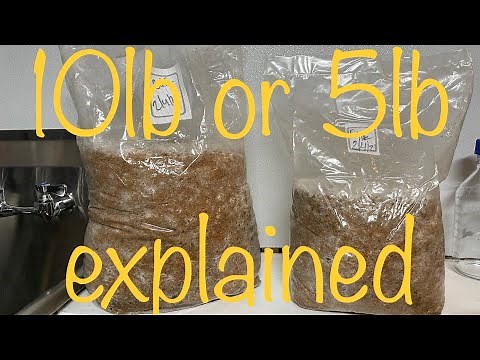 5lb blocks vs 10lb blocks explained - the differences between using 5 & 10 pound mushrooms bags