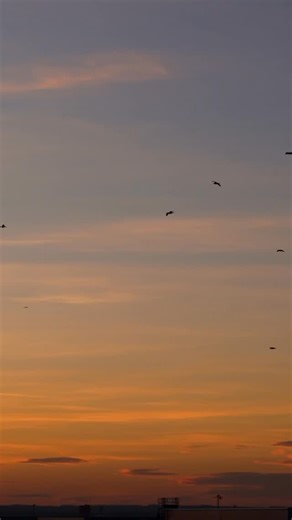 We install ‘The Things We Leave Behind’ as part of Out Of The Box...