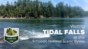 [Updated 2024] Starfish at Tidal Falls Preserve in Hancock Maine - Acadia East Campground