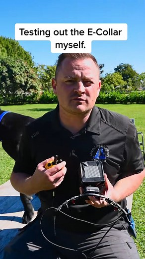 Testing out the E-collar myself #ecollar #ecollartraining #dogtrainer #DogTraining #professional #dontbeadodohead #tricksandtips #fypシ゚ | Pet Dogs