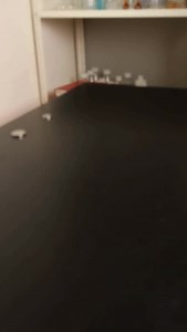 Intake. Compression. Power. Exhaust. Watch a four-stroke engine in motion with Eisco’s model! #eisco #eiscoscientific #scienceeducation #science #eiscolabs | Eisco Scientific