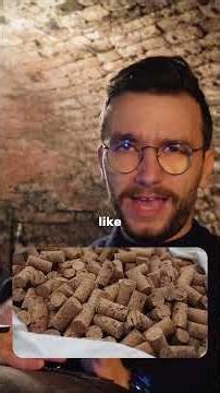 Cork Oak Trees Explained! 🌳🍷✨