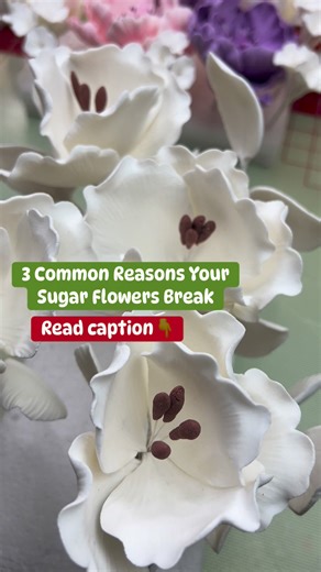 💔Why Do Your Sugar Flowers Keep Breaking? You spend hours making those beautiful petals, then boom! , one tiny move and it’s gone. Let’s fix that today 👇 3 Common Reasons Your Sugar Flowers Break: 1️⃣ Your paste is too dry or old – Gumpaste that’s been left open loses elasticity . Flowers made with that kind of paste cracks easily., when dry. Solution ✅ Always knead well add a touch of shortening to keep your paste flexible. 2️⃣ You’re rolling it too thin – Delicate is good, but paper-thin pet