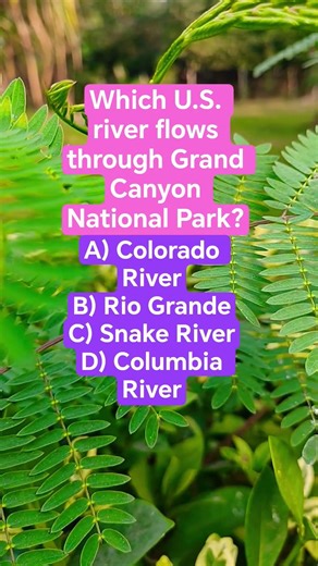 Which U.S. river flows through Grand Canyon National Park?