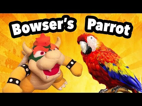 SML Movie: Bowser's Parrot [REUPLOADED]