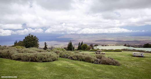 Aliʻi Kula Lavender Garden - Farm Tours - Maui Hawaii