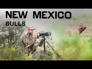 Bulls EVERYWHERE!! | New Mexico Rifle Elk Hunt | Presented by OnX