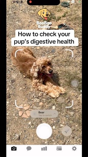 We use the “BooBoo Buddy” app and it lets us know everything we need to keep her in shape ❤️