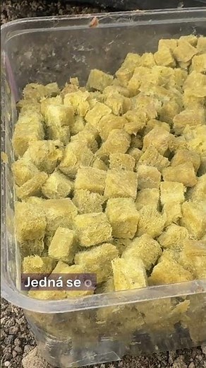 Nenechte slimáky zničit úrodu ani květiny #slimak #slimakill #uroda #zelenina #zahrada #tip #salat