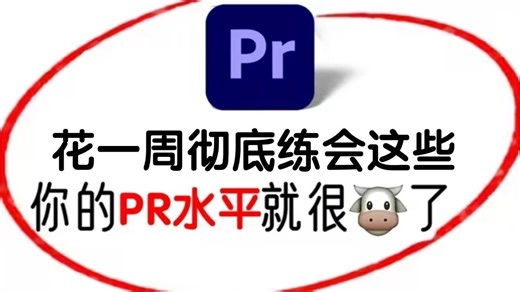 【2025最强PR教程】100个PR练手实战项目，逼自己花一周练完这些你就牛了，练完即可兼职接稿，从入门到进阶，基础到精通，你想要的全都有，赶紧码住！！！