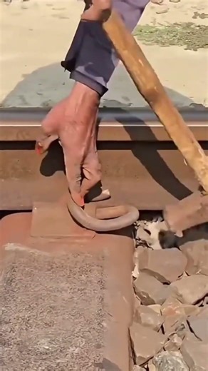 Railway Track Installation And Repair Process 🚆🔧