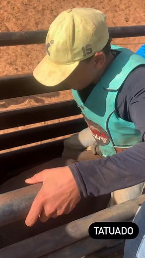 cia dangusmp tatto rodeo training - copy | RODEO Channel