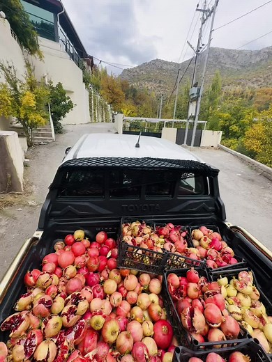 ‏#kurdstan🇹🇯️ #barzanhrori #گوندي #هروري #ماشاءالله_تبارك_الله