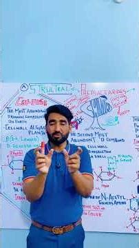 MDCAT Biology: Key Facts About Chitin 🧬 #biology #zoology @AghaIrfanZoologist
