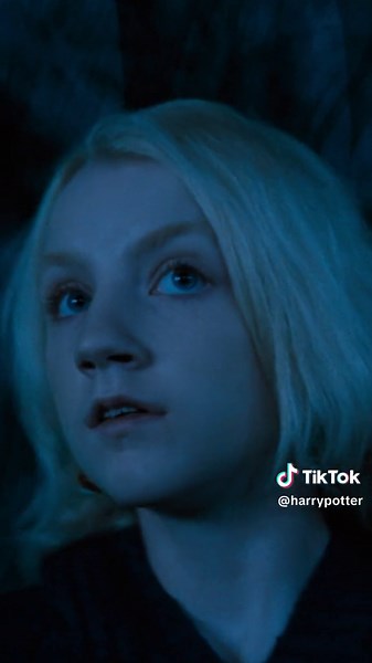 Dumbledore's Army Standoff: Movie Recommendations