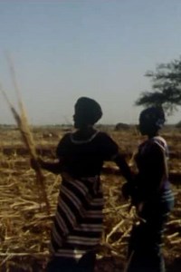 Lim, lam, lom - Movie