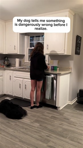 My #pots can cause me to faint randomly which puts me at risk of hitting my head. My dog warns me and helps me before its too late. #servicedog #foryou #fyp #disabilityawareness #pots #dogsoftiktok