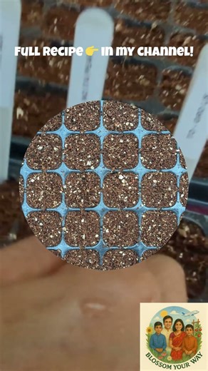 🌱 Why My Seeds Sprout Strong Every Time