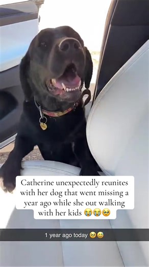 She is very lucky 🥰 #acefamily #catherinepaiz #catherine #austin #austinmcbroom