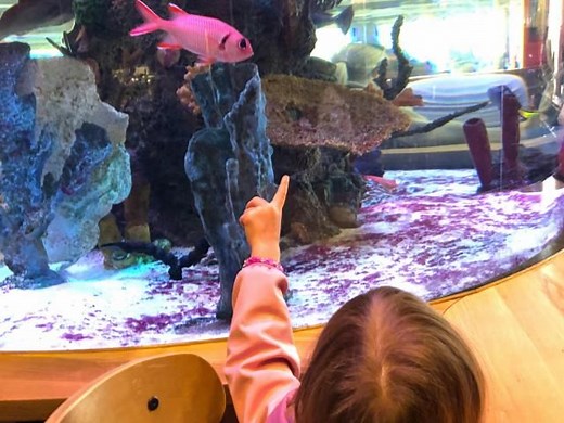 5 local restaurants that are great for dining with small children