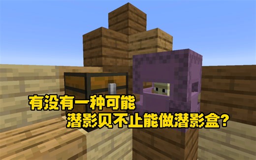 潜影贝的不为人知的另一面，潜影贝指令玩法