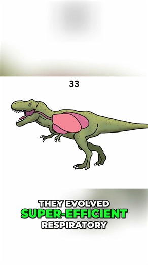 Dinosaur Size Myth Busted It Wasn't Oxygen! #education #dinosaur #facts