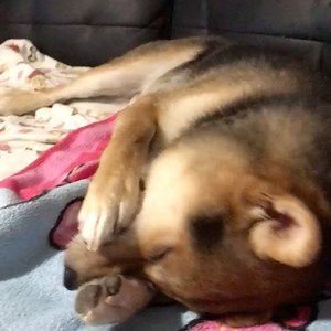 Someone doesn't wanna wake up 😆 | Ryan Higa