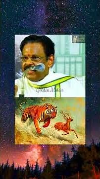 🙏 God's creation...