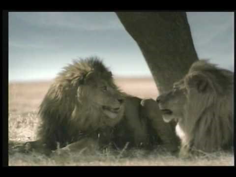 taco bell lions super bowl XLI commercial