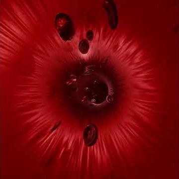 blood flow forward and reversed slow