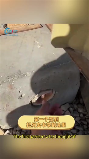 Uncovering the Chinese Code Beneath the Pyramids of Egypt