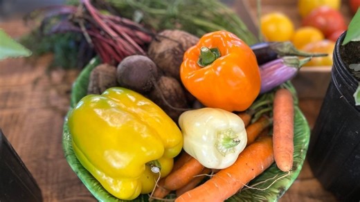 Discover fresh produce and specialty gifts at the Garden in Neenah's urban farm setting
