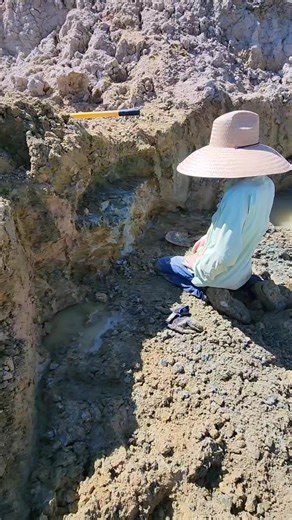 BEAUTIFUL fossilized Great White shark tooth found by my husband Bryan Schoonardwhile visiting Palmetto Fossil Excursions in SC on our anniversary trip 🤩 | Cristina Mazza Schoonard