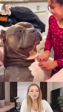 Funniest Dog Videos 2025 | Dogs Protecting Kids | Funny Animal Videos