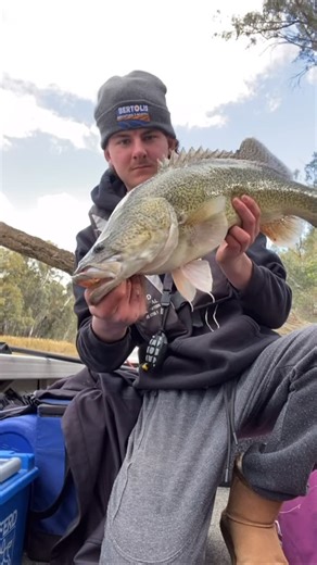 Noah Kirby on Instagram: "The NEW bassman 100mm wake walker doing the damage 70cm Murray cod off the roof • @bassmanspinnerbaits • #fishing #fish #murraycod #cod #fyp #newlure #upcoming #secretweapon #surface #lure #lurefishing"