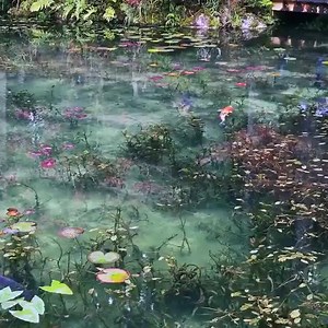 Monet's Pond, Japan | Japan Blossoms
