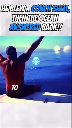 The Ocean Answered Back .He Blew a Conch Shell… 😲🐚🌊 #animals #shorts #animalsvideo