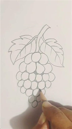 “Realistic Grape Drawing #shorts | Fast & Easy Pencil Sketch”