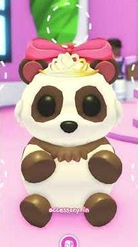 ⊹ ࣪Customizing My New Giant Panda ... But I'm Super Indecisive !! 🐼 | Adopt me ! Roblox ♡ ˚｡