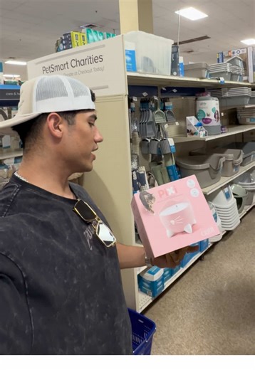 Sus primer regalitos de la gatita de Sondra 😭❤️ | sondra