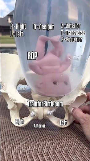 The BEST position for birth (And how to get baby there!) 🏆🤰🏻