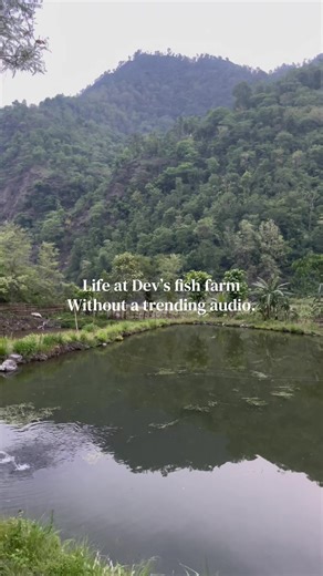 Life at Dev's Fish Farm: Nature and Fishing Insights