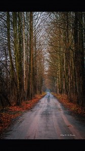 There’s something about a long dirt road that makes you slow down. No lines. No signs. No guarantees. Just forward. I stood here and couldn’t stop thinking about the end of our road. Not the one on a map—but the final one. The one we all walk eventually. So I’ll ask you the question this road asked me: Who is waiting for you at the end? Is it a father you miss? A friend who left too soon? A dog who knew your soul better than most people? Or maybe… it’s the version of yourself you were always mea