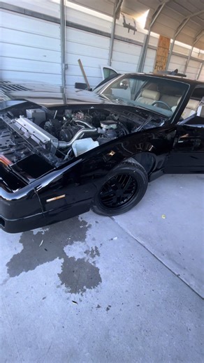 Exploring the 1987 Pontiac Firebird Trans Am