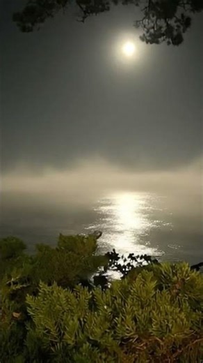 Midnight Moon Over Pacific | Cinematic Ambient Soundscape #noai #nature #nosamples