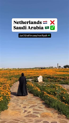 Saudi Arabia 🇸🇦 Travel | Hotels | Food | Tips on Instagram‎: "Al Nasiriyah Reserve feels like a hidden escape just a few hours from Riyadh 🌿✨ Located in Buraidah, this nature-filled spot is perfect for a peaceful day trip away from city life. With wide green spaces, colorful flowers, and scenic paths, it honestly looks like something straight out of the Netherlands — but it’s right here in Saudi Arabia. 💡 This reserve is family and kid-friendly, making it a great weekend getaway. Entry is 20