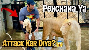 320K views · 12K reactions | Maa Ne Pehchana Ya Attack Kar Diya?  | Emotional Moment After Months! | Waqas Wild Farm | Facebook