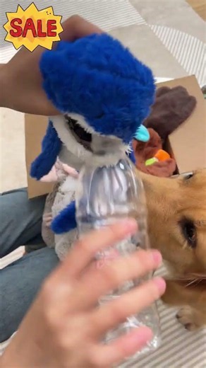 my dogs LOVE these toys!